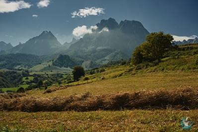 The Pyrénées - Valley of Aspe