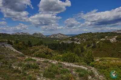 The Alpilles in provence